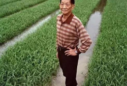 吃瓜爆料袁隆平图片大全,吃瓜群众眼中的农业巨星